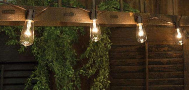 Clear Edison Light Strand, 10 ct. - The Fox Decor